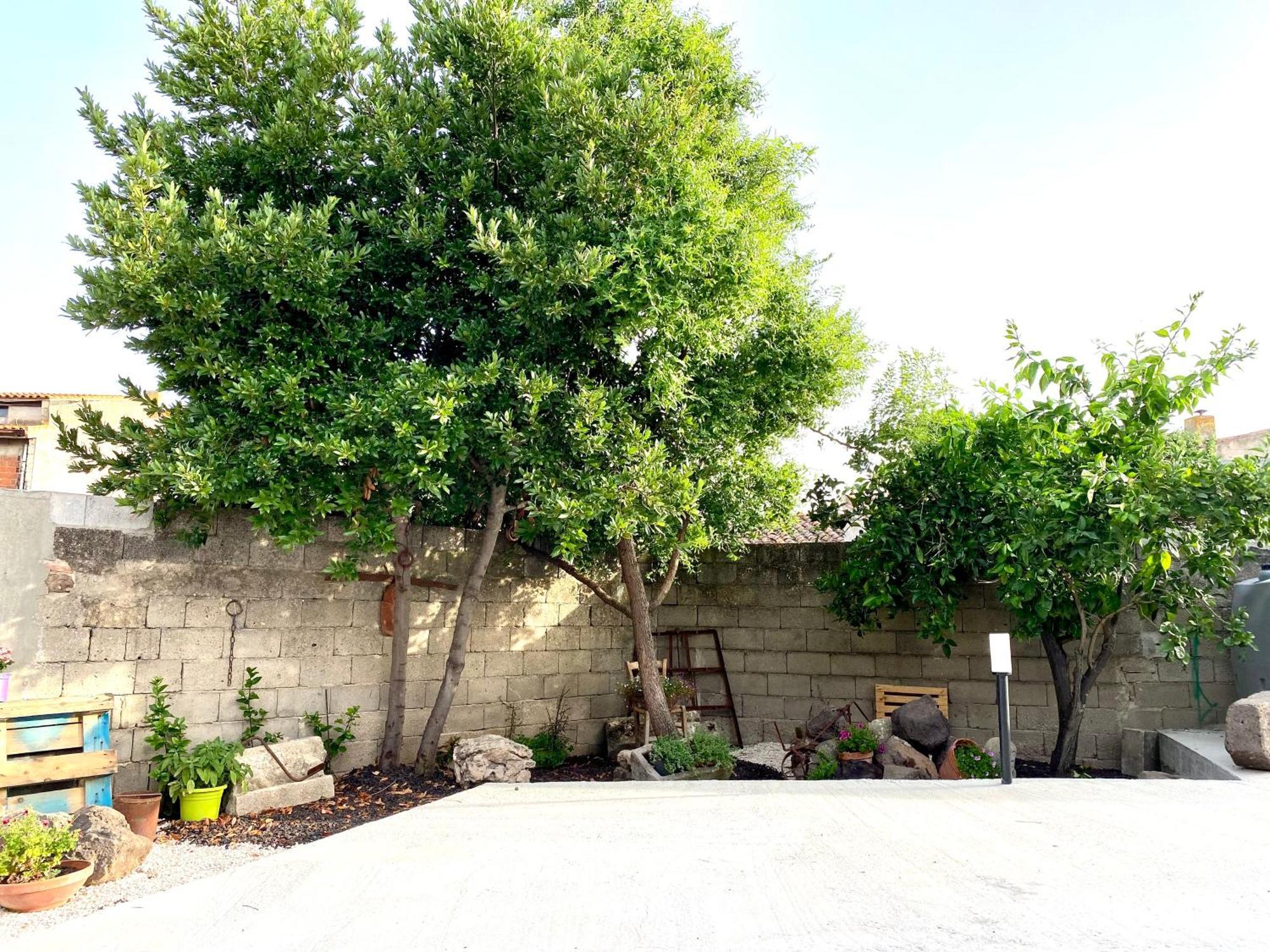 Casa Meli Apartment San Vero Milis Exterior photo
